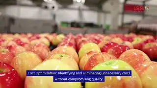 Lean Six Sigma for the Food and Beverage Industry