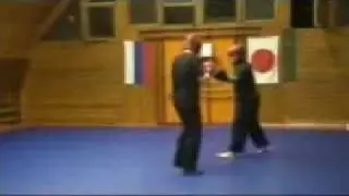 Atemi sparing