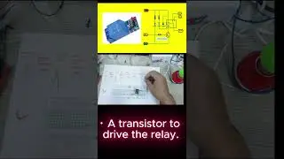 Relay driver circuit #education