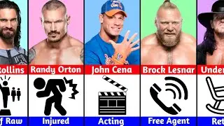 Current Status of WWE Superstars