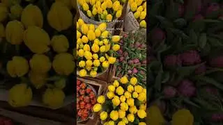 Тюльпаны к 8 марта оптом и розницу #купитьтюльпаны #tulip #florist #нижнийновгород #flowers
