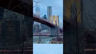 Winter blues in Brooklyn Bridge Park in Brooklyn, New York City #newyork #snow #winter