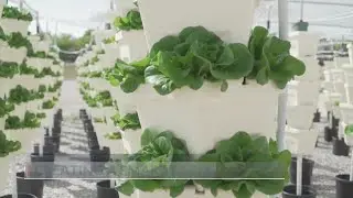 Mid Ohio Food Collective creating a smart farm