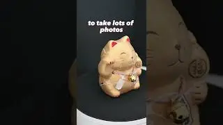 Lucky Cat Photogrammetry using Reality Capture