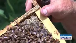 Mississippi Valley Beekeepers Association aims to inspire the youth