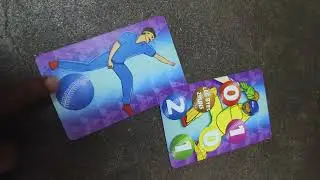 how to play in cricket cards  tamil rounders