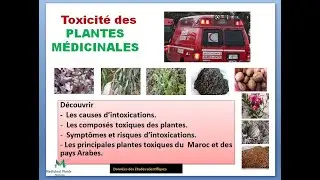 Ces Plantes M&eacute;dicinales Peuvent Tuer ! 🌿⚠️ Plantes Toxiques, Dangereuses et Mortelles