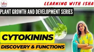 V-8| Cytokinin plant hormone- Discovery & Functions| Plant hormone | Plant growth and Development