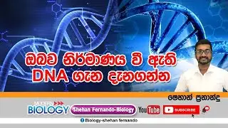 DNA structure- න්‍යශ්ටික අම්ල