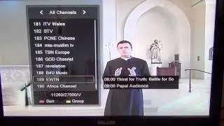 Ferguson Ariva 252 - Pause & Record Live TV