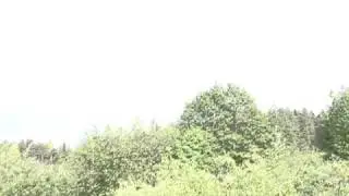 MOV05179.MPG
