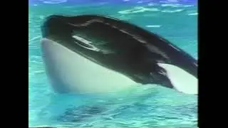 1981 Sea World Promo Video Narrated by Dick Goddard
