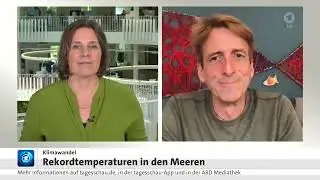 Rekordtemperaturen im Meer: Was sind die Folgen?