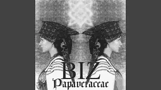 Papaveraceae