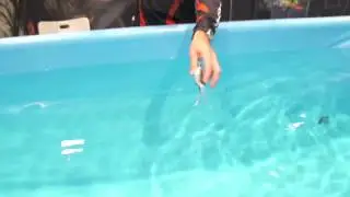 Savage Gear 3D Frog with Mads Grosell | ICAST 2013