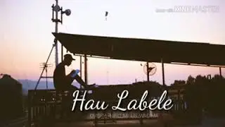 Hau LaBeLe 👉OVID16