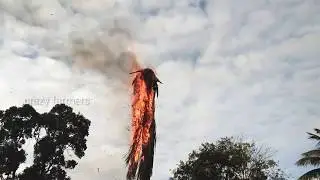 Thunder storms effect Coconut tree burning