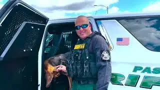 TweetAlong: Обучение ищейки