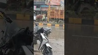 #viral cow rescue operation#cow rescue#viral video Instagram#youtube#pahalgam viral video#mahakal#tr