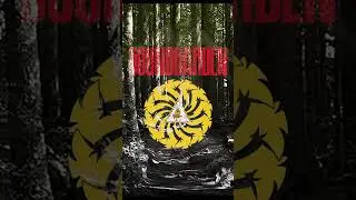 Soundgarden guitar solo #soundgarden #memorydriven #grunge #sludge #coversong #metal
