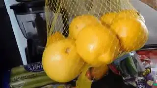 GIANT!!!!!!!99 cent store haul TONS of produce and more