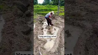 Making a rice field embankment #shorts #farmers #motivation