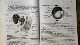 Bs/Bsc Zoology Lecture | Smell or Olfaction / Taste or Gustation Vision | Animal Form And Function |
