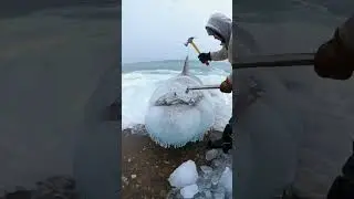 Shark Frozen in Ice Near Island Shore Saved in Shocking Winter Rescue | Caught on Phone #shark #usa