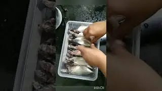 kitchen tips & tricks # store mackerel fish # short tip