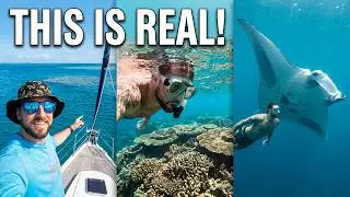 Epic Day Snorkeling Australia's Great Barrier Reef