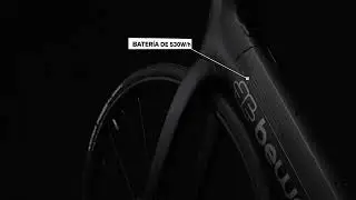 bewatt - urban e-bike (racoon 22)(0:45)