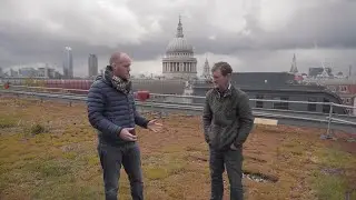 Dusty Gedge - Climate and Ecology