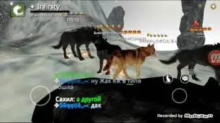 Что творится в wolf online :/