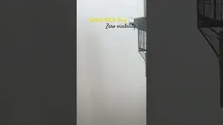 Chaos Unleashed: Fog Hits DELHI NCR!