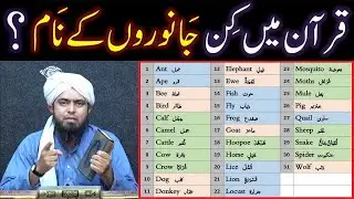QUR'AN mein kin kin JANWARON (Animals) kay NAMES hain ??? (By Engineer Muhammad Ali Mirza)