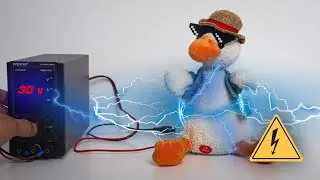 What Happens When High Voltage is Applied?