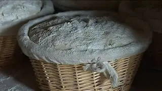Semences bio autoris&eacute;es &agrave; la vente en 2021