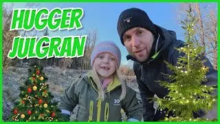 Familjen hugger julgran p&aring; lantst&auml;llet. JULVLOGG!