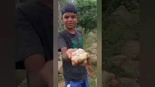 Kondallo kothulu🐒🐵 #comedy #villagelife 