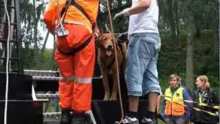 CMC Finland rescue dogs in Imatra Express