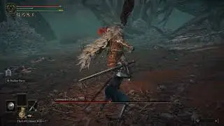 Elden Ring - Commander O'Neil, No Damage
