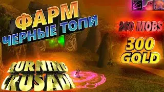 Черные топи голдфарм вов 300g в час / goldfarm mage The Black Morass the Burning Crusade classic.