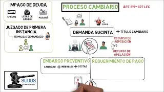 PROCESO CAMBIARIO: OBJETO Y FASES DEL PROCESO