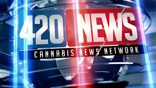 420 NEWS CANNABIS NEWS NETWORK EVENING NEWS