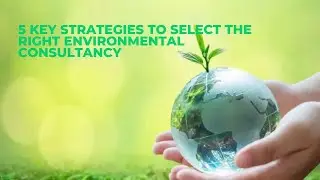 5 key strategies to select the right environmental consultancy