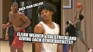 Elijah Weaver & Tai Strickland Giving Each Other BUCKETS!! Ft: Dionte Blanch, & Jacob Crews