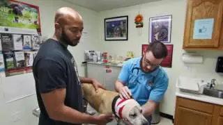 NOLA Animal Clinic | New Orleans, LA | Veterinarians