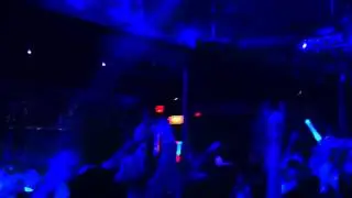 David Guetta Label Charlotte