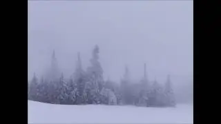 Spooky tundra ambience. Winter wind with creepy sounds.90 minute horror backdround ambience.