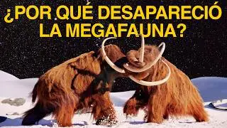 La extinci&oacute;n de la Megafauna: una historia m&aacute;s cruel de lo que imaginas